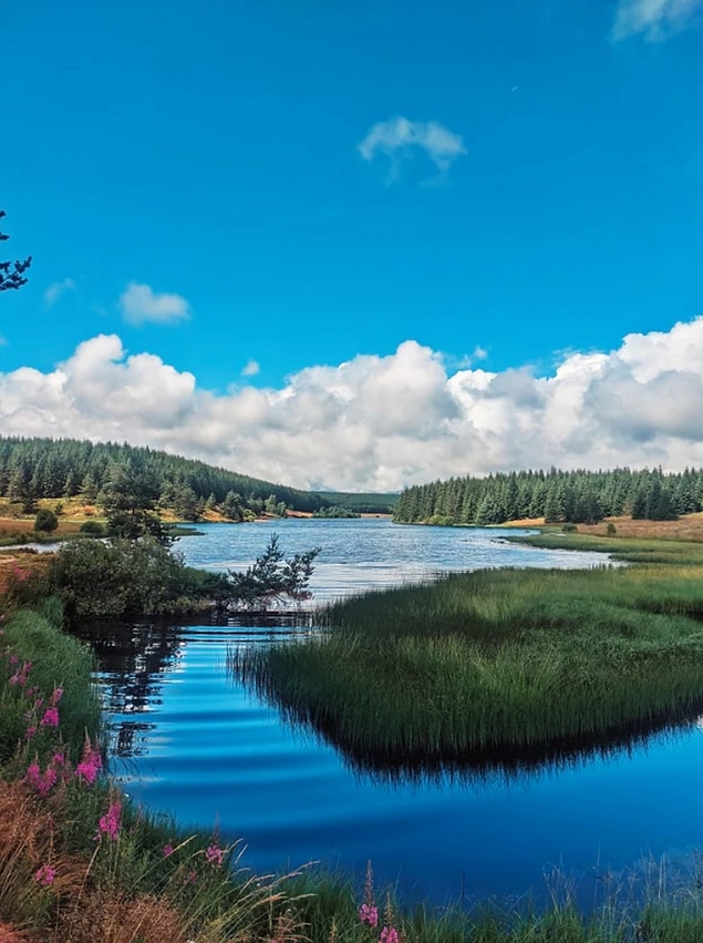 3. Fransa'daki Lac Du Charpal'in durgun güzelliği: