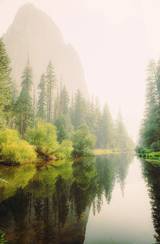 6. Yosemite Ulusal Parkı'nda sisli bir öğleden sonra: