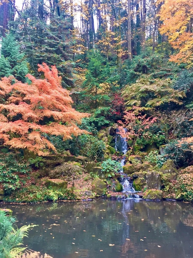 12. Portland Japon Bahçeleri: