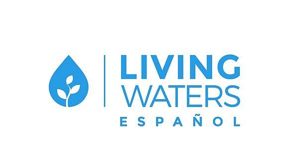 E tabii bir ihtimal daha var. O da Deva Partisi'nin Living Waters kurumunun logosundan "ilham" almış olma ihtimali...