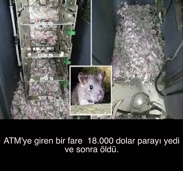 Kritoya neden mi yatırım yapıyoruz? Tam olarak bu sebebten değil tabi ama bunun da katkısı oldu bence.