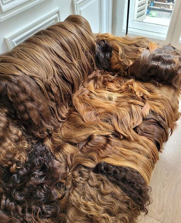 3. Я нашла волосы на твоей футболке. Кто она? Признавайся!