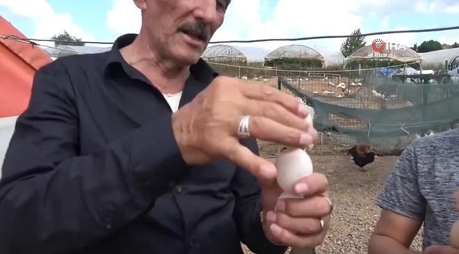 Aldığınız Yumurtanın Taze Olup Olmadığını Nasıl Anlarsınız? 55 Yıllık Usta 'Dönme' Yöntemini Anlattı