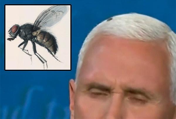 8. Mike Pence’ın kafasına konan sineği de hepimiz gördük değil mi?