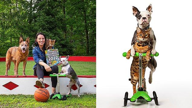 Kanada'dan kedi-köpek ikilisi Lollipop ile Sashimi, scooter üzerinde 5 metreyi 4,37 saniyede giderek rekor kırdı.