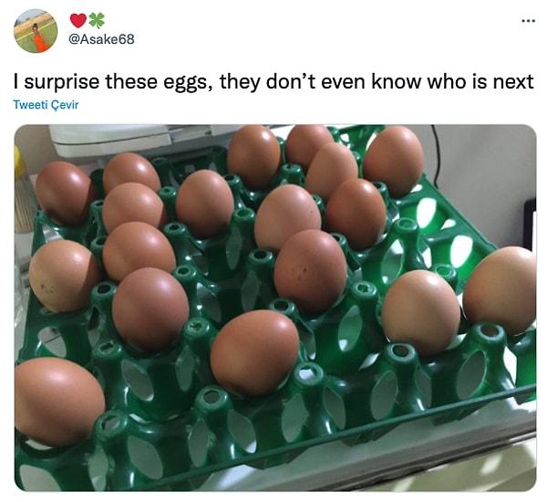 15. "Yumurtalara sürpriz yaptım, sıradakinin kim olacağını bile bilmiyorlar."