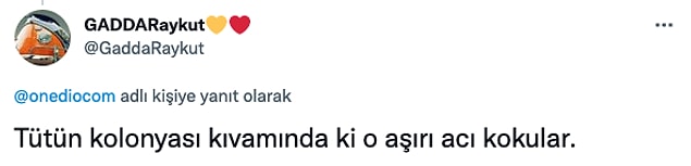 11. Burnunuza o ağır koku geldi değil mi?