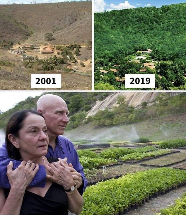 4. Brezilya’da 20 yılda 2 milyon ağaç diken çift:💚