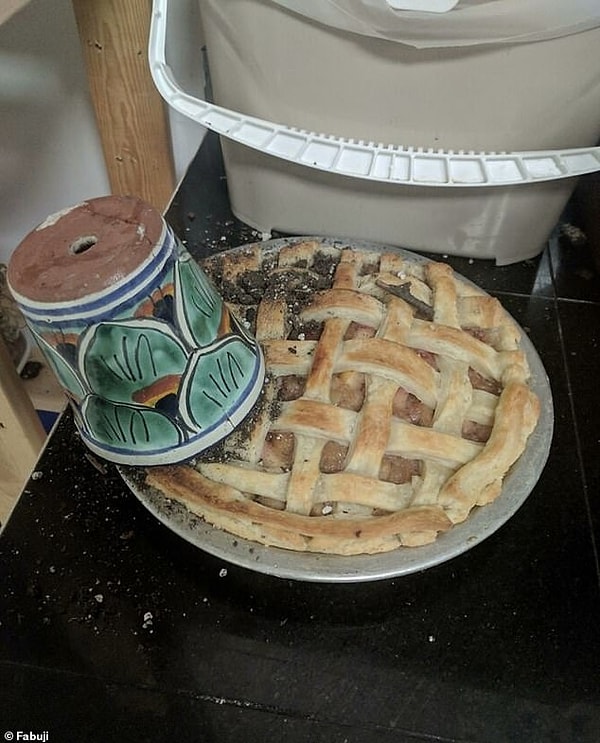 12. Этот вполне приличный пирог постигла редкая судьба:на него упал кактус, пробив корку и разрушив все это, сделав его непригодным для употребления в пищу
