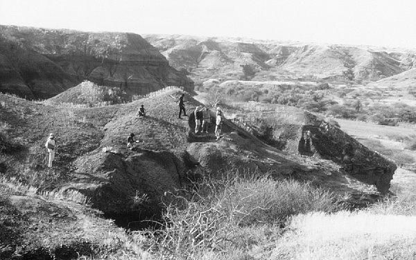 Pek çok arkeolog, Lomekvi 3 kazı alanındaki kalıntıların 3.3 milyon yıl önceye dayandığından şüphe duyuyor.