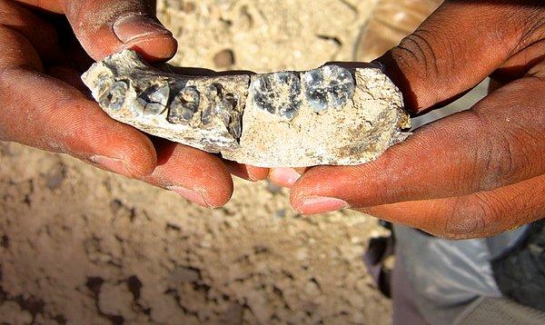 Gona’nın en eski arkeolojik alan olduğunu düşünen bilim insanları burayı da şüpheli buluyor.