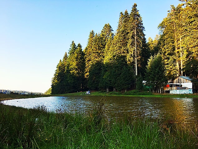 13. Pürenli Yaylası, Düzce