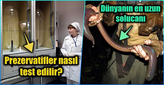 Gördüğünüz Anda Yaşadığınız Hayatı Sorgulatıp Şaşırma Kotanızı Bugünlük Dolduracak 15 Enteresan Gerçek