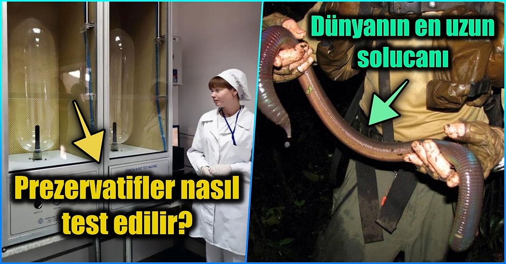 Gördüğünüz Anda Yaşadığınız Hayatı Sorgulatıp Şaşırma Kotanızı Bugünlük Dolduracak 15 Enteresan Gerçek