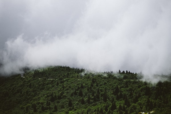 24. Blue Ridge Parkway, Kuzey Carolina