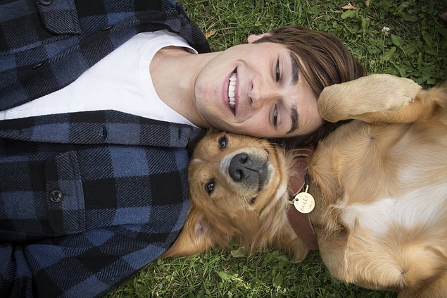 102. A Dog's Purpose (2017)
