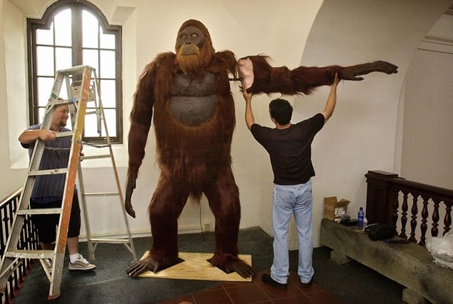 7. Şimdiye dek yaşamış en büyük maymun türü olan Gigantopithecus Blacki’nin canlandırması: