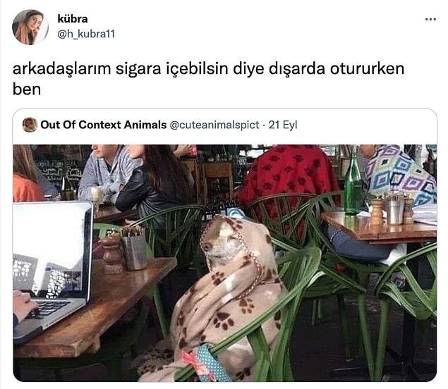 5. Cuk oturmuş...