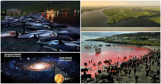 Nermin Erol Yazio: Etrafına Tabut Örenler