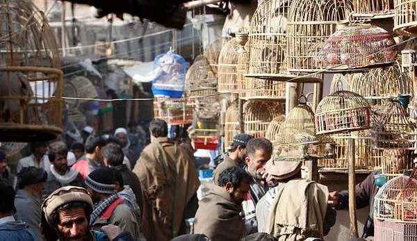 2. Kâbil'deki Ka Firushi Kuş Pazarı