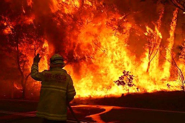 Dünyada ve ülkemizdeki yangınların hepsi değil ama çoğu insan kaynaklı yangınlar.