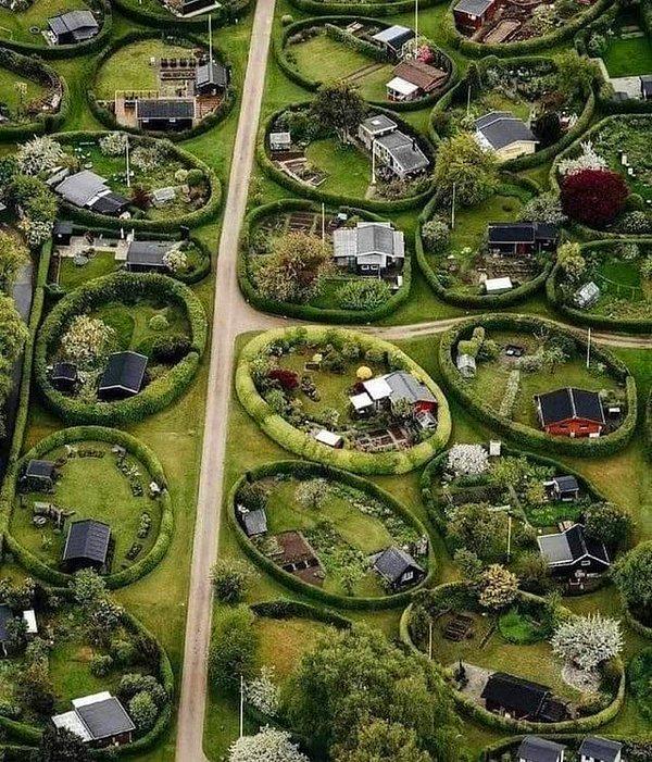 1. Danimarka'da evlerin bir kısmı bu şekilde devasa çitlerle sarılıdır.