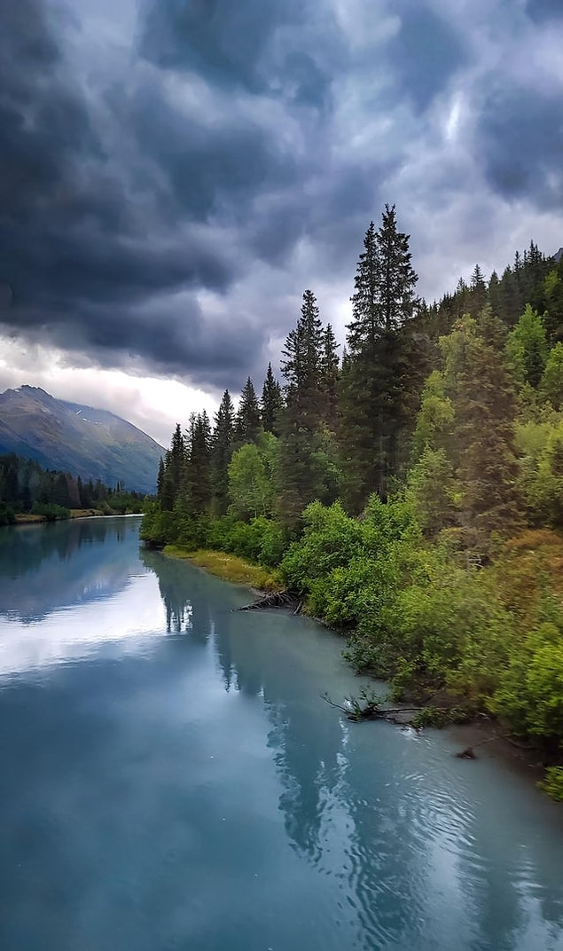 4. Alaska - Anchorage'dan Seward'a giden trenden çekilen fotoğraf 😍