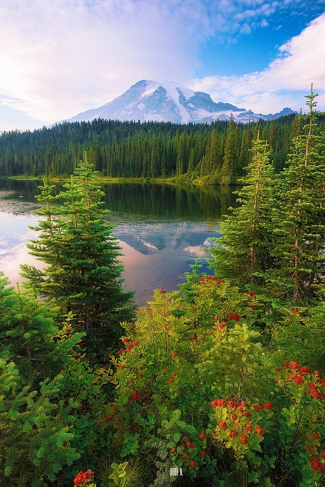 6. Rainier Dağı - Washington: