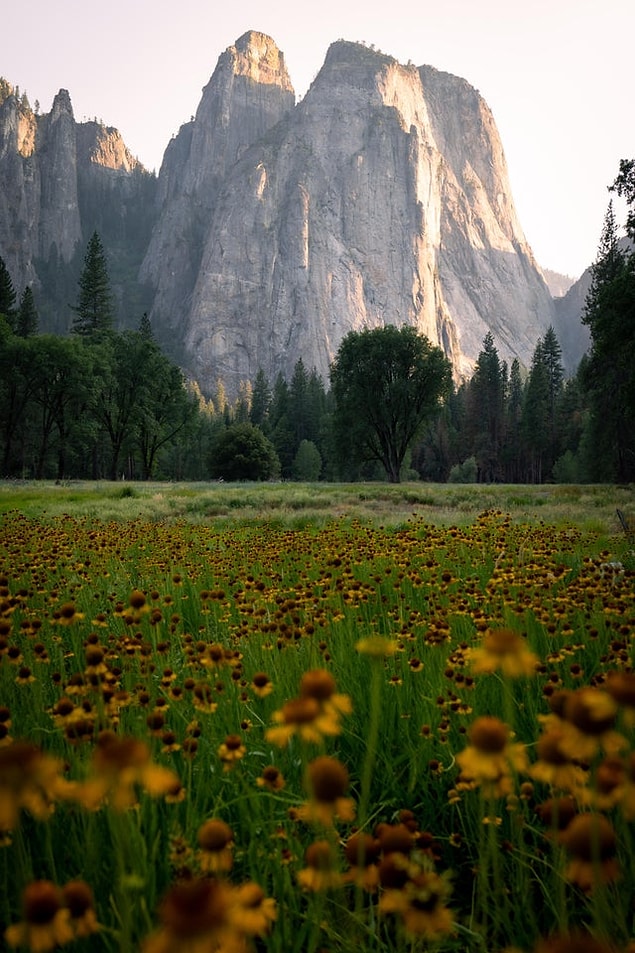 14. Yosemite Ulusal Parkı - Kaliforniya: