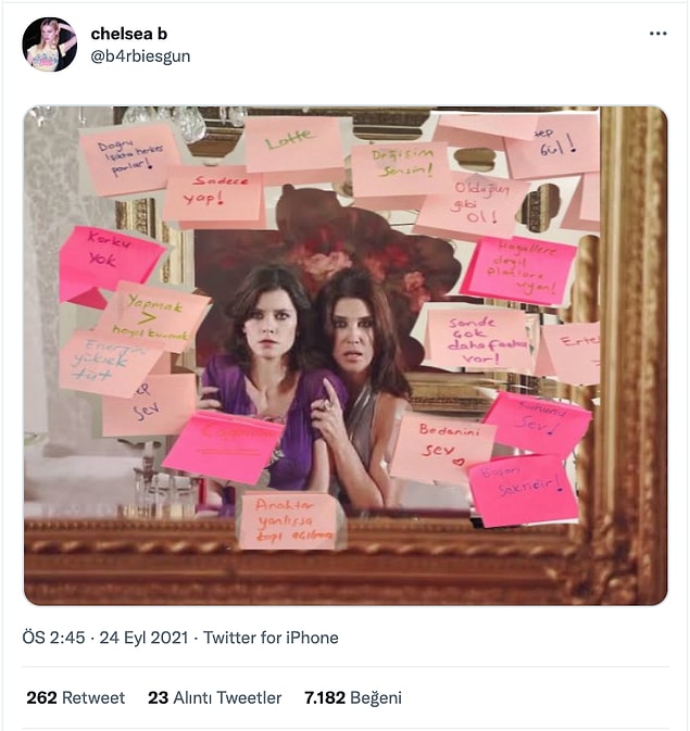 15. Sen Bihter Ziyagilsin, aptallık etme!