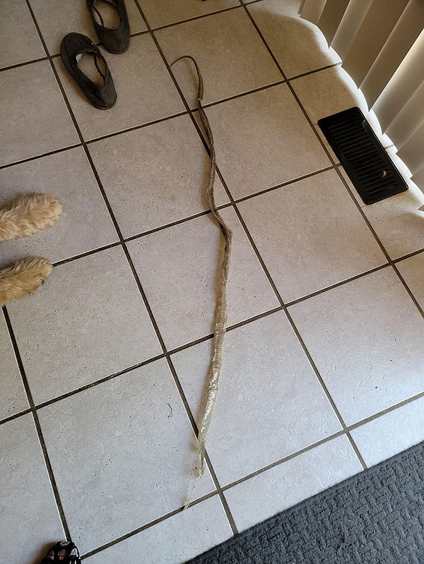 6. Я не могу найти виновника, который оставил это в моем доме