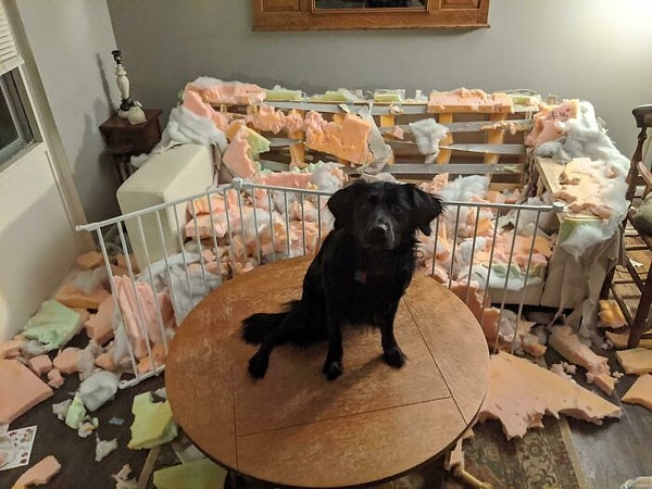 12. Вы не поверите, что произошло, пока вас не было