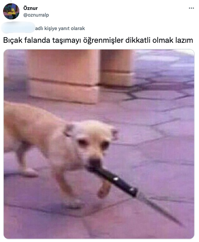 1. Tabii pek çok insan da bu tweete yanıt verdi: