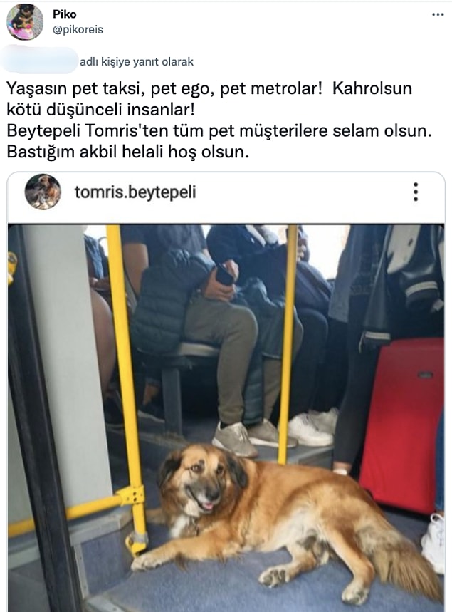 7. Helal olsun!