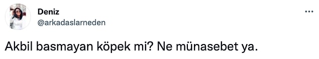 15. Ne münasebet cidden?😅