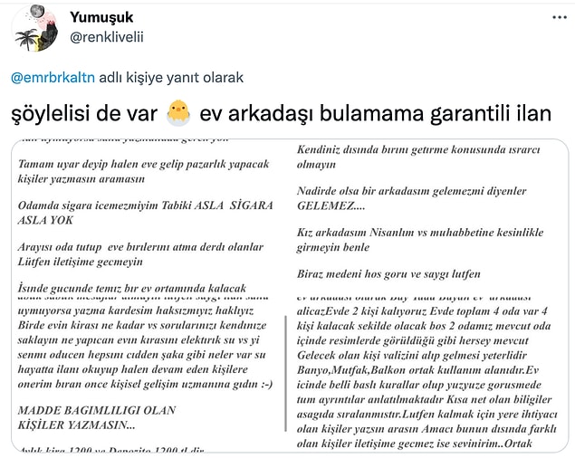 Bir de ev arkadaşı ilanları...