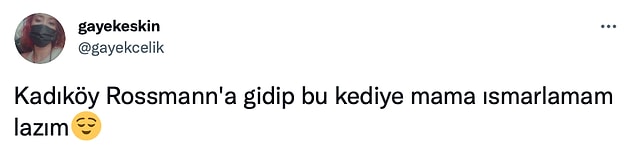 Bir kısmı da kediyi görmek için sabırsızlandığını ve sadece kediyi görmek için Kadıköy'e gitmek istediğini belirtti.