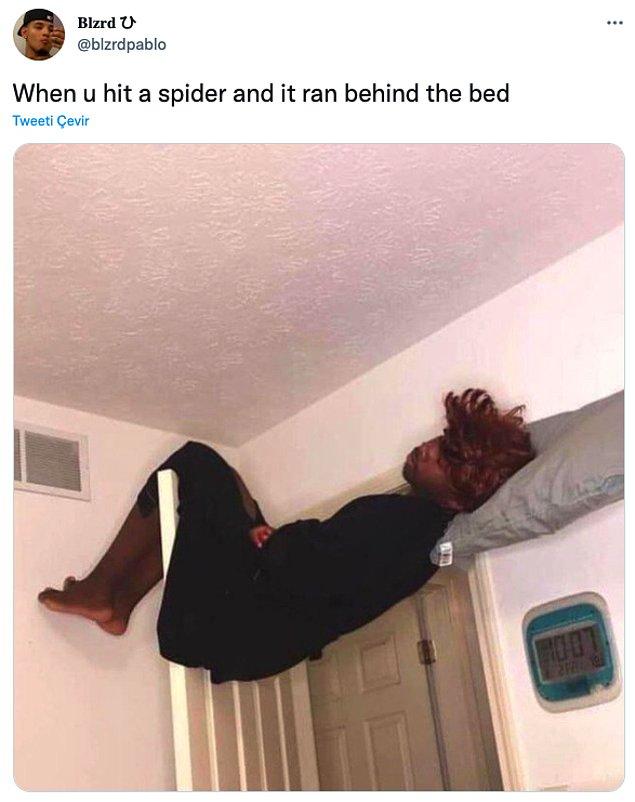 5. "Örümceğe vurmuşsundur ve yatağının arkasına kaçmıştır."