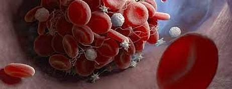PLT: Platelets Nedir? Yüksekliği ve Düşüklüğü Ne Anlama Gelir? Değerleri Kaç Olmalıdır?