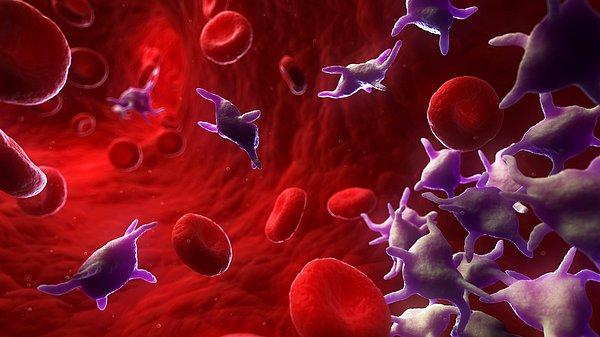 Platelets Nedir?