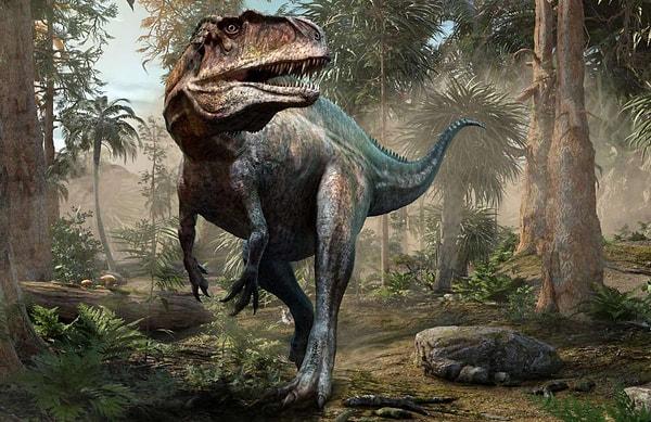 Tiranozor rex ile neredeyse aynı uzunlukta olan başka türler de mevcuttu.