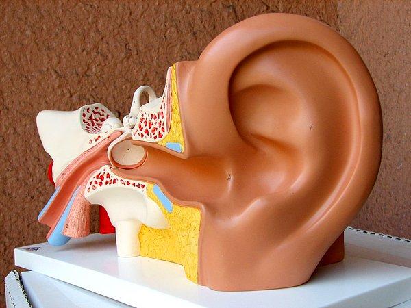Kulak Çınlaması Nedir?