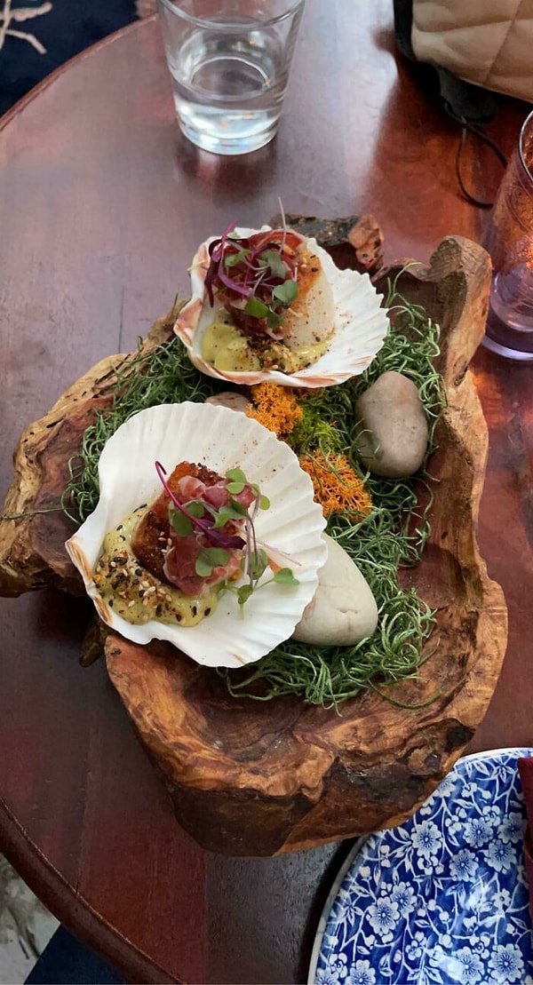 10. 2 гребешка на ракушках на искусственной траве, настоящие камни и все на бревне