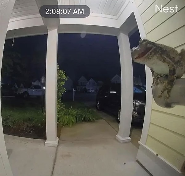 4. В 2:08:07 утра она решила подарить вам улыбку