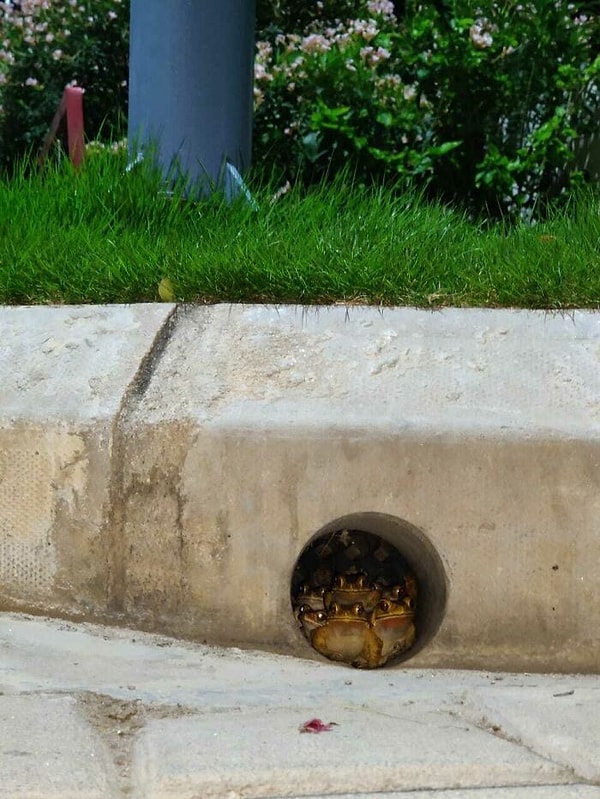 12. Жизнь во время карантина: