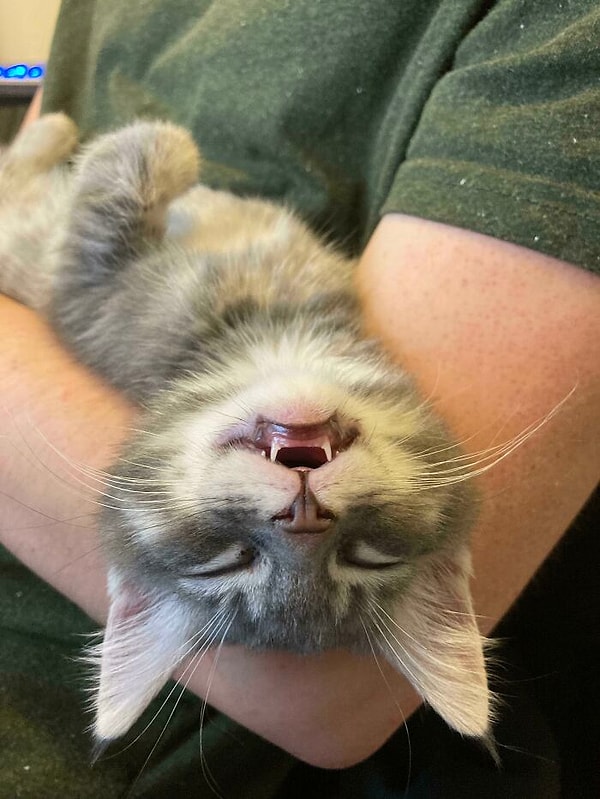 5. Самый счастливый мальчик