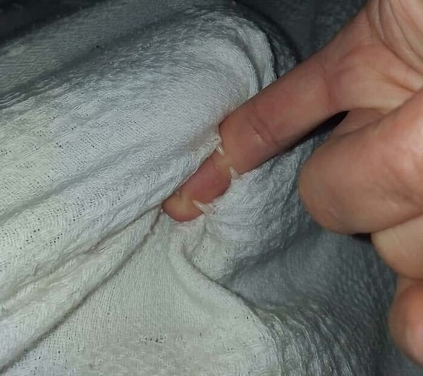 6. Думаю, мне следует вернуть это одеяло. У него есть острые зубки