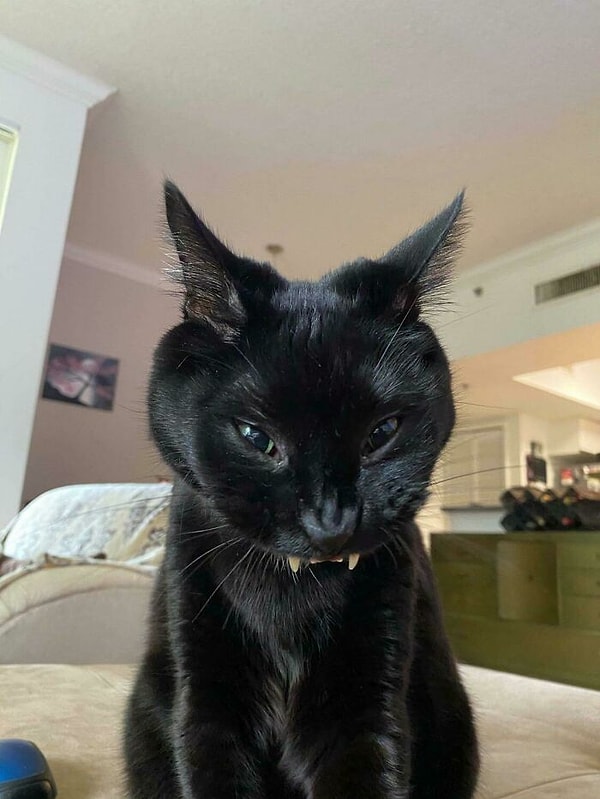 9. Маленький дьявол с зубками