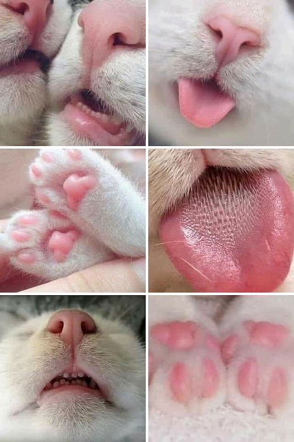 10. Фото, которые нужны мне каждый день