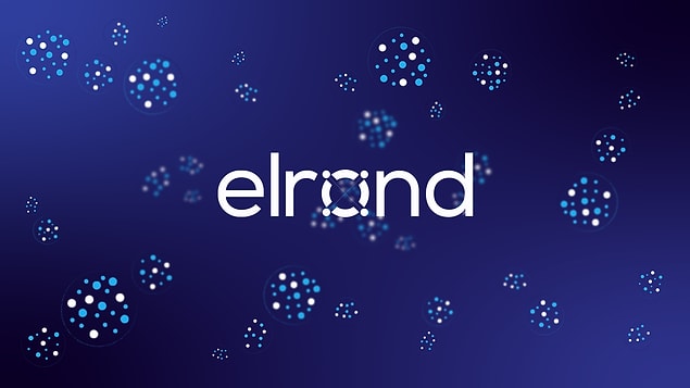 Radarındaki kripto paralardan biri de Elrond (EGLD)!